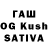 Псилоцибиновые грибы GOLDEN TEACHER Asiian