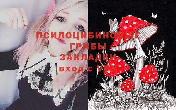 прущие крисы Алексин