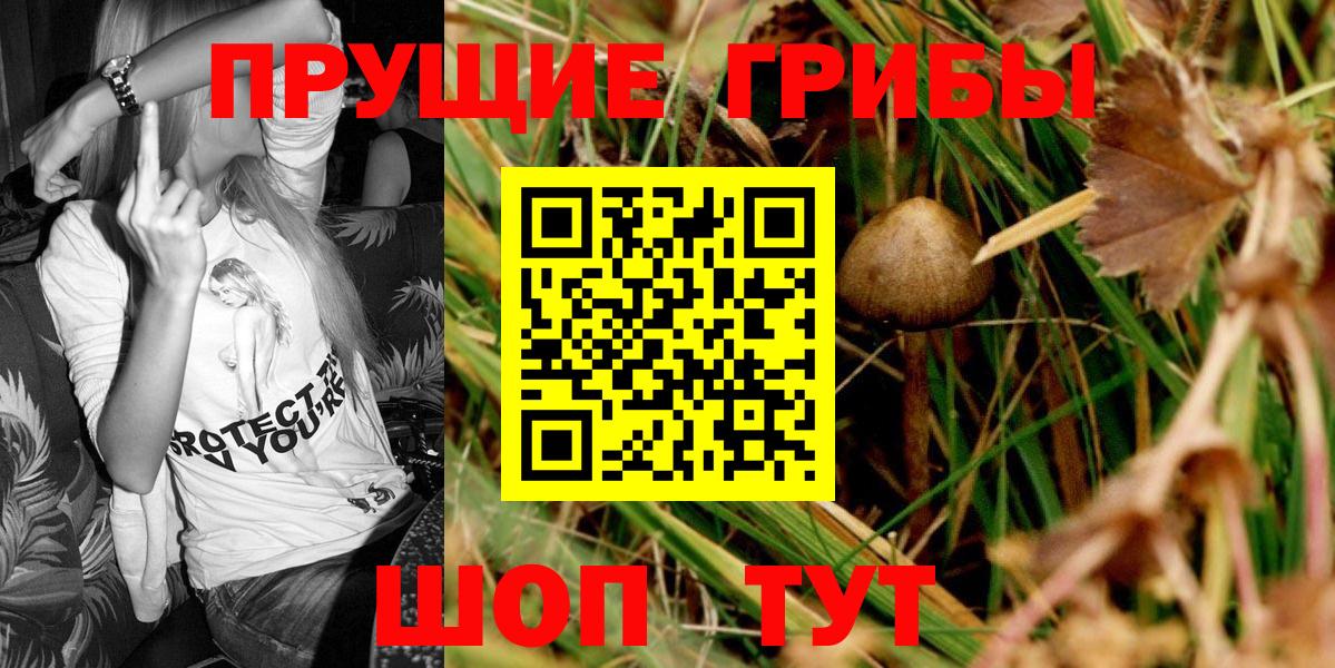 Галлюциногенные грибы ЛСД Тейково